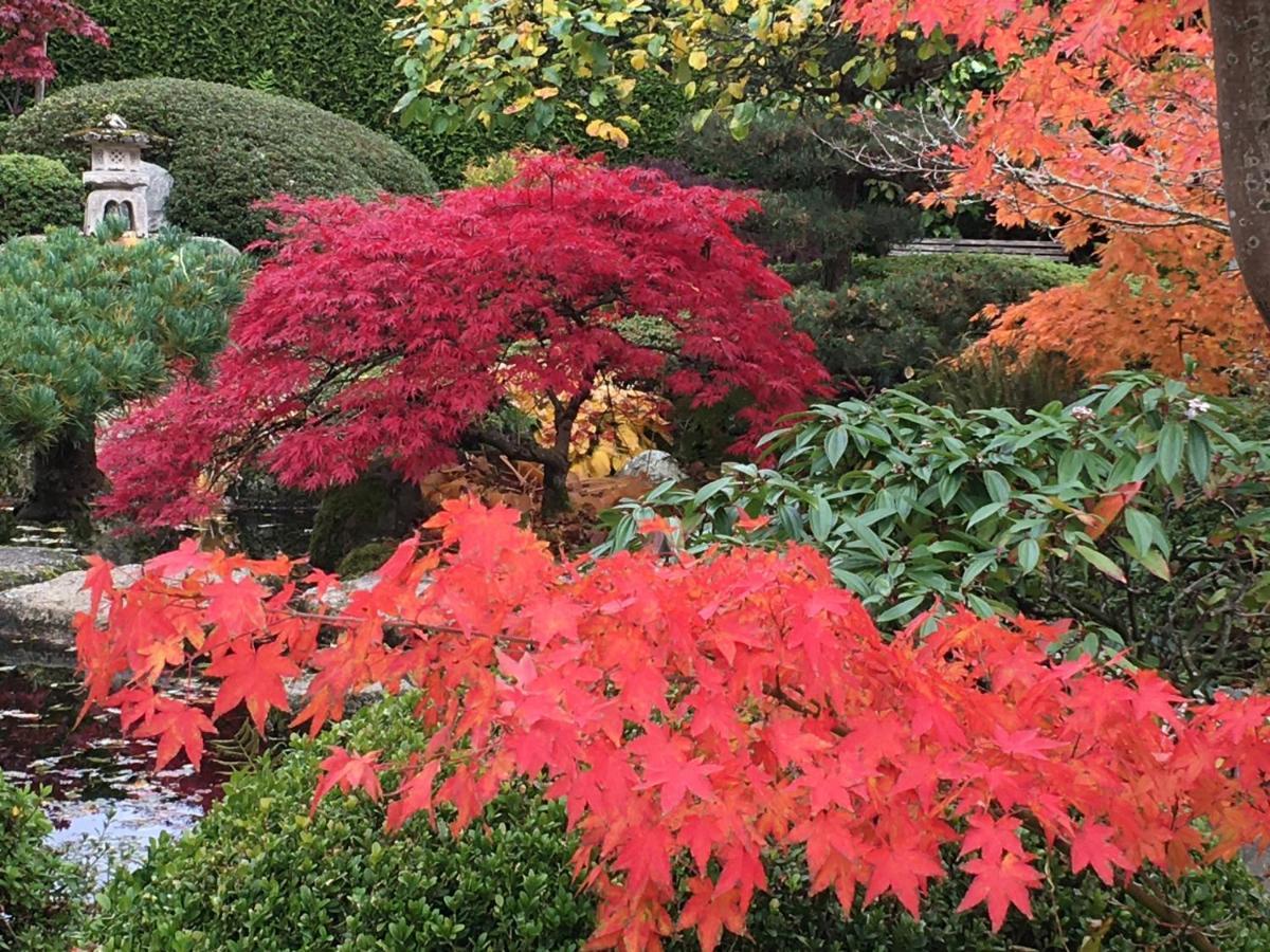 Den Japanske Have B & B Herning Esterno foto
