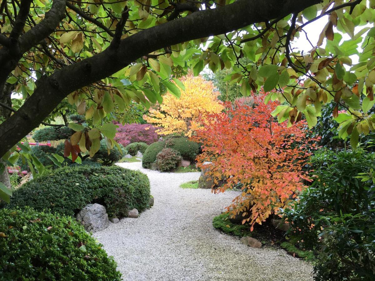 Den Japanske Have B & B Herning Esterno foto