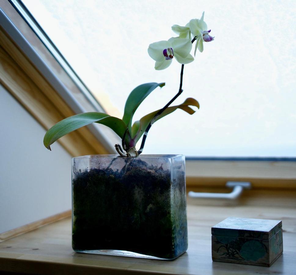 Den Japanske Have B & B Herning Esterno foto